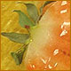 ]| Strawberry.Slice |[